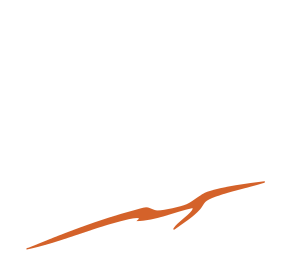 Trail Running